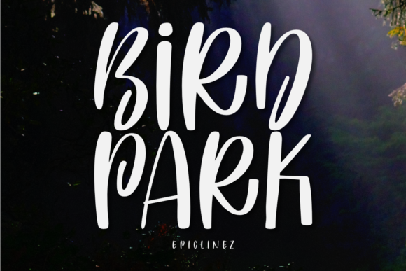 Bird Park Font: Playful Display Typeface for Business Branding