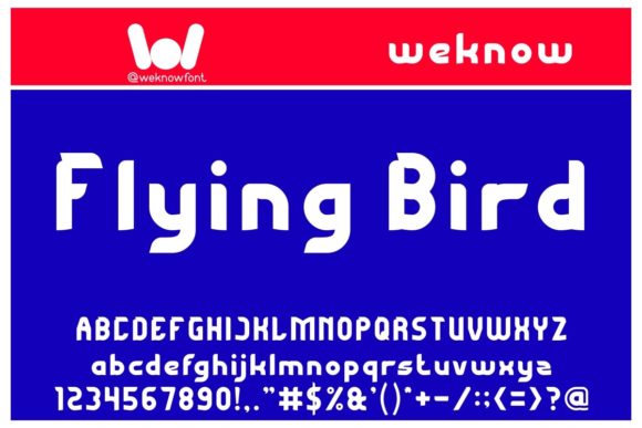 Bringing Products to Life with Flying Bird: A Maker's Modern Display Font