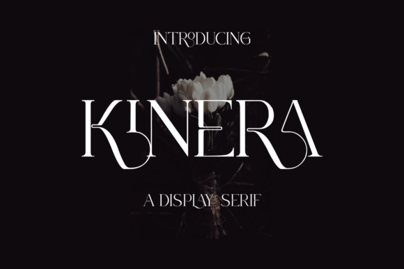 Kinera Font: Building a More Polished and Memorable Brand